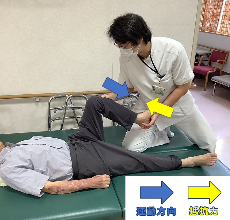 筋力の程度を確認